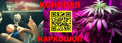 СК Новозыбков